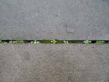 Cranfield Rd London SE4