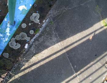 Deptford Church St (1)
