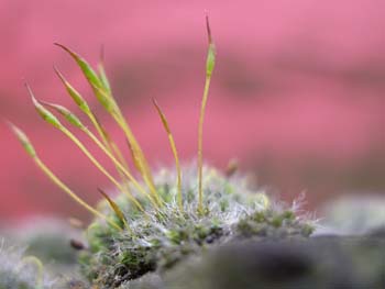 Grinstead Rd London SE8