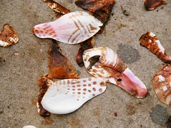 St Norbert Rd London SE4