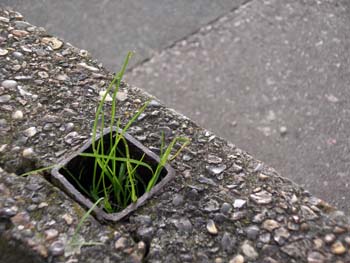 Tapplesfield Rd London SE15