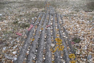 Dungeness, East Sussex