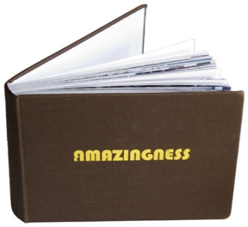 amazingness the book