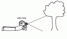 taking a pic from low level