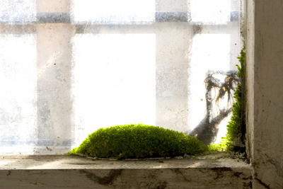 Market Estate Project - London 2010