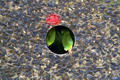 Market Estate Project - London 2010