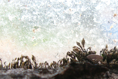 Market Estate Project - London 2010