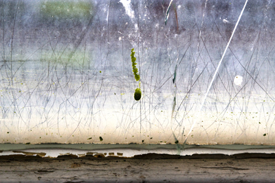 Market Estate Project - London 2010