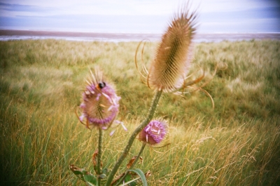 Northumberland