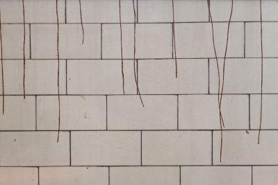 Shaun Caton - Come to Pass