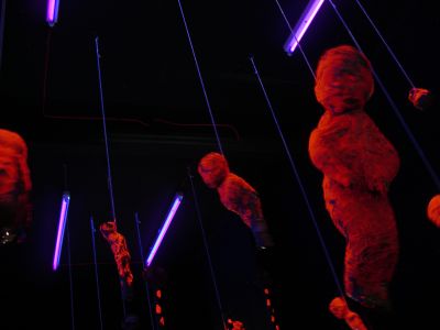 Shaun Caton - Netherwhat