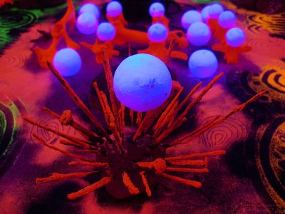 Shaun Caton - Netherwhat