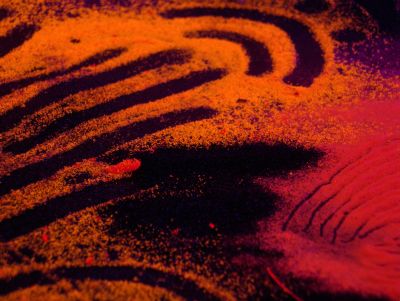 Shaun Caton - Netherwhat