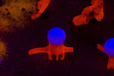 Shaun Caton - Netherwhat