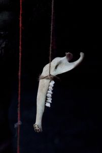 Shaun Caton - Netherwhat