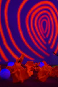 Shaun Caton - Netherwhat